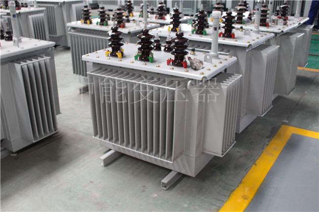 岳阳S22-250KVA/10KV变压器